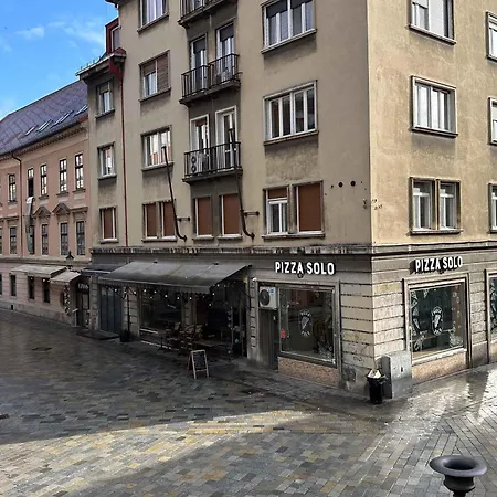 Location Air-conditioned Apartment Pressburg